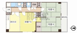 コンフォートローヤルハイツの物件間取画像